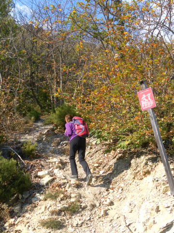 Foto: Wolfgang Lauschensky / Klettersteigtour / Ferrata degli Artisti / Klettersteigtafel am Einstieg / 29.10.2011 09:03:16