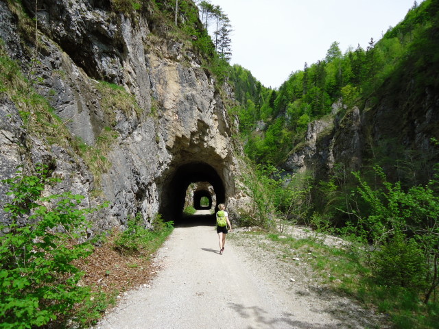 Foto: Günter Siegl / Klettersteigtour / Triftsteig (670m) / 12.05.2012 11:57:34