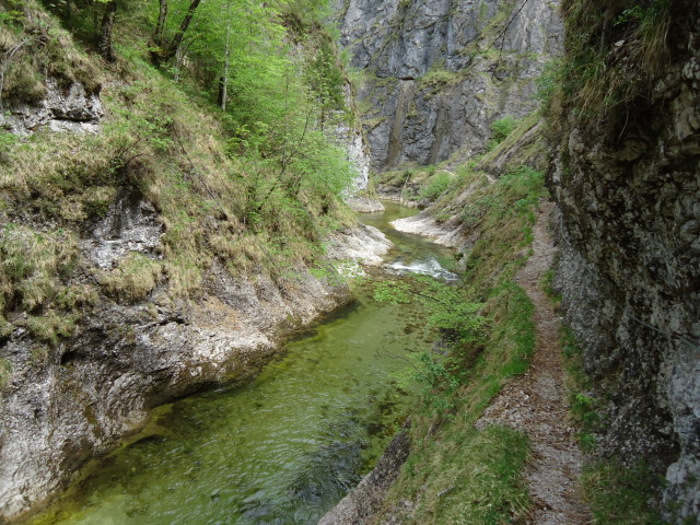 Foto: Günter Siegl / Klettersteigtour / Triftsteig (670m) / 12.05.2012 11:56:50