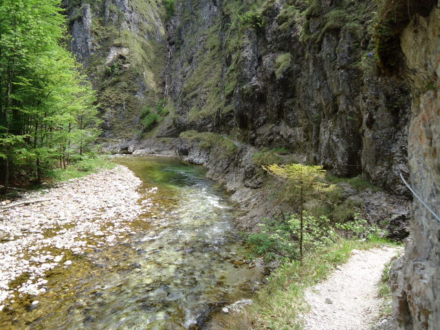 Foto: Günter Siegl / Klettersteigtour / Triftsteig (670m) / 12.05.2012 11:56:18