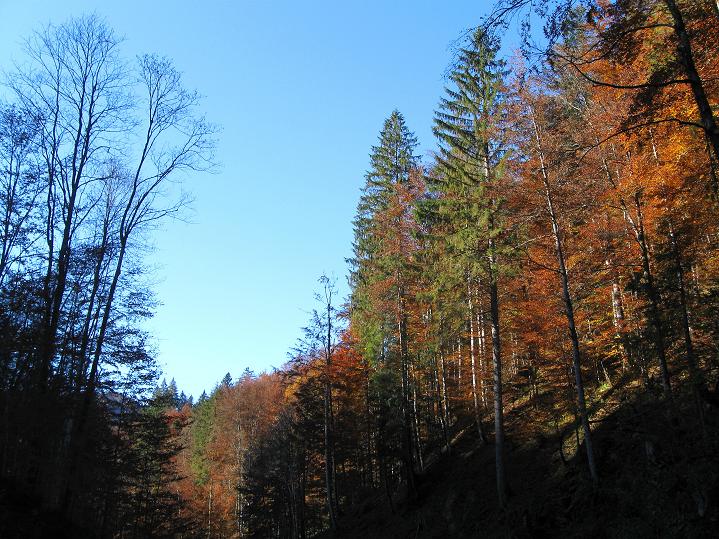 Foto: Andreas Koller / Klettersteigtour / Triftsteig (670m) / 06.11.2011 21:23:14
