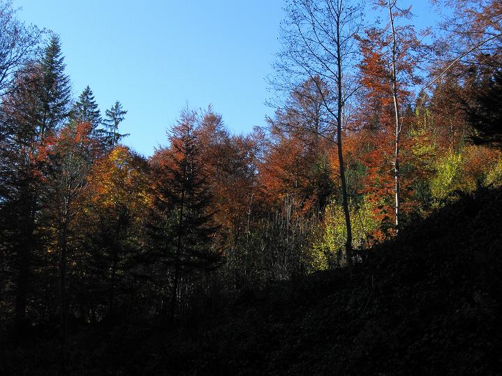 Foto: Andreas Koller / Klettersteigtour / Triftsteig (670m) / 06.11.2011 21:23:00