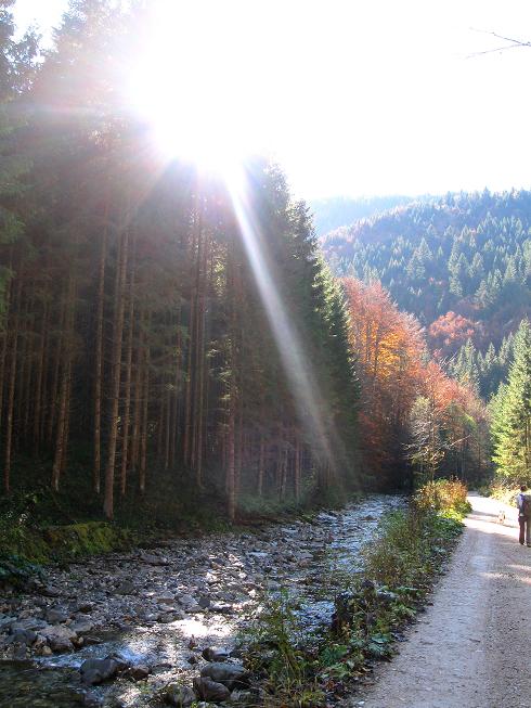 Foto: Andreas Koller / Klettersteigtour / Triftsteig (670m) / 06.11.2011 21:22:46