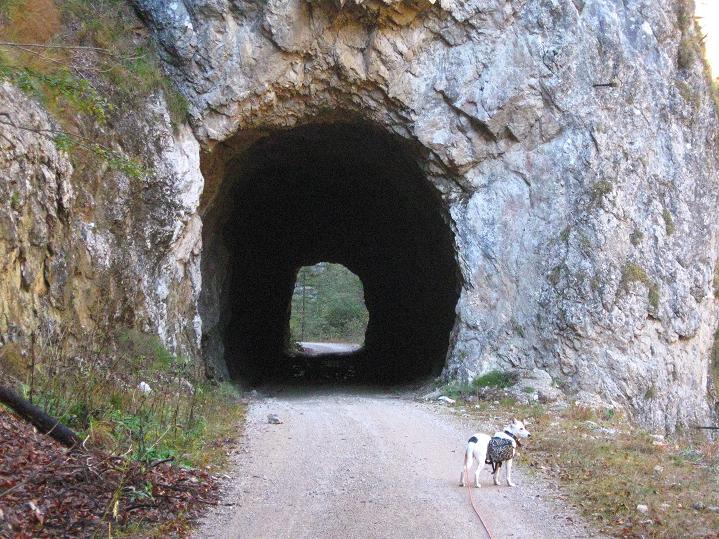 Foto: Andreas Koller / Klettersteigtour / Triftsteig (670m) / Tunnel / 06.11.2011 21:22:11