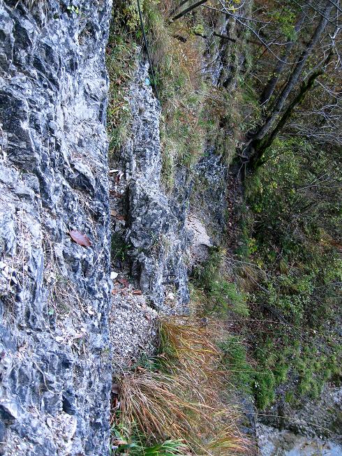 Foto: Andreas Koller / Klettersteigtour / Triftsteig (670m) / 06.11.2011 21:16:41