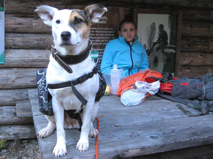 Foto: Andreas Koller / Klettersteigtour / Triftsteig (670m) / 06.11.2011 21:16:06
