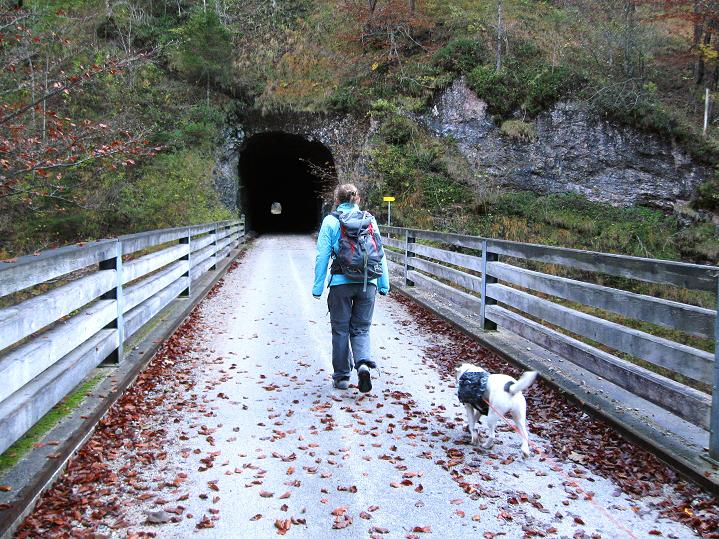 Foto: Andreas Koller / Klettersteigtour / Triftsteig (670m) / Rückweg durch die Tunnelgalerie / 06.11.2011 21:15:56