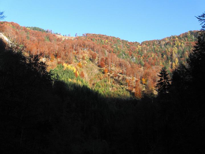Foto: Andreas Koller / Klettersteigtour / Triftsteig (670m) / 06.11.2011 21:15:27