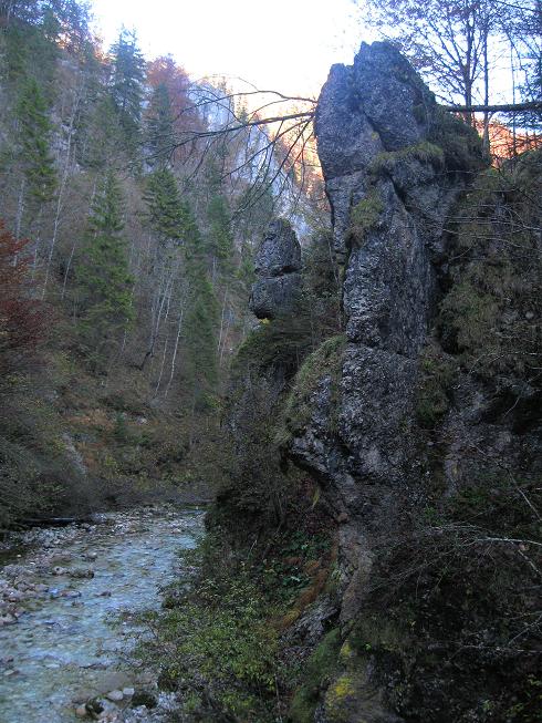 Foto: Andreas Koller / Klettersteigtour / Triftsteig (670m) / 06.11.2011 21:15:09