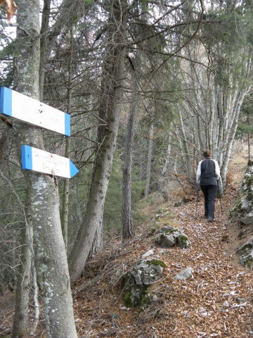 Foto: Wolfgang Lauschensky / Wandertour / Cima d´ Oro bis Cima Pari Kammüberschreitung / an der Sella, ab nun gehts am Westrücken höher / 12.12.2011 15:11:24
