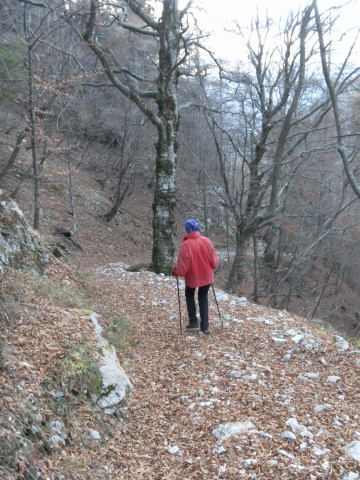 Foto: Wolfgang Lauschensky / Wandertour / Cima d´ Oro bis Cima Pari Kammüberschreitung / Karrenweg zur Malga Dromae / 12.12.2011 15:08:41