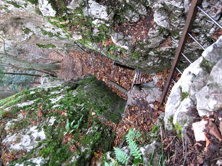 Foto: Andreas Koller / Klettersteigtour / Drobilsteig auf die Hohe Wand (826m) / 15.12.2011 03:12:12