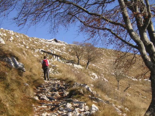 Foto: Wolfgang Lauschensky / Wandertour / Monte Pizzocolo aus dem Val di Sur / Querung zur Gipfelhütte / 16.12.2011 07:39:09