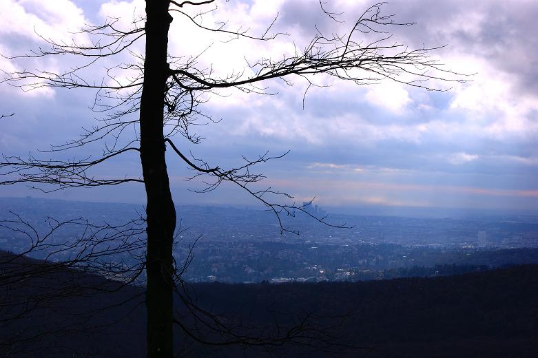 Foto: Andreas Koller / Wandertour / On Top of Vienna - der Hermannskogel (542m) / Blick auf Wien / 30.12.2011 21:50:45