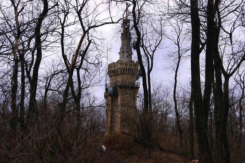 Foto: Andreas Koller / Wandertour / On Top of Vienna - der Hermannskogel (542m) / Ankunft am Hermannskogel / 30.12.2011 21:50:10