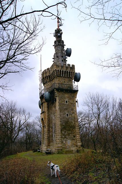 Foto: Andreas Koller / Wandertour / On Top of Vienna - der Hermannskogel (542m) / Habsburgwarte / 30.12.2011 21:49:48