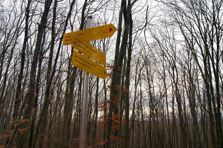 Foto: Andreas Koller / Wandertour / On Top of Vienna - der Hermannskogel (542m) / 30.12.2011 21:48:23