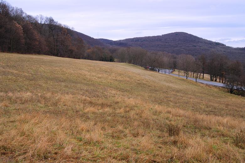 Foto: Andreas Koller / Wandertour / On Top of Vienna - der Hermannskogel (542m) / 30.12.2011 21:48:13