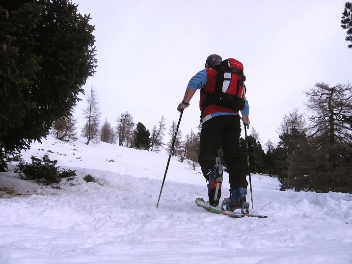 Foto: Andreas Koller / Skitour / Aus der Krakau auf die Tockneralm (2357m) / 05.01.2012 22:26:23