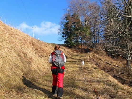 Foto: Andreas Koller / Wandertour / Gauermannhütte am Plattenstein (1154m) / 03.02.2012 19:55:25