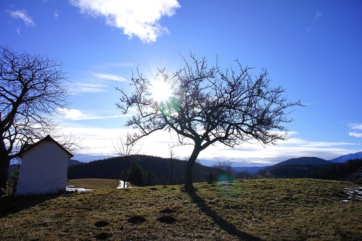 Foto: Andreas Koller / Wandertour / Gauermannhütte am Plattenstein (1154m) / 03.02.2012 19:54:21