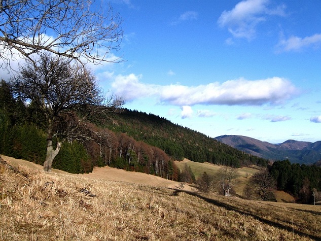 Foto: Andreas Koller / Wandertour / Gauermannhütte am Plattenstein (1154m) / 03.02.2012 19:53:25