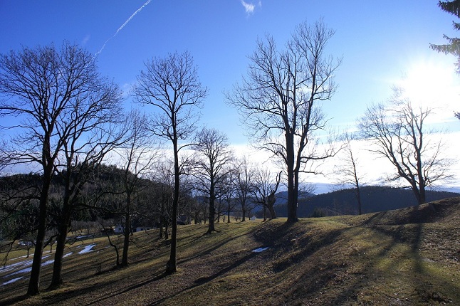 Foto: Andreas Koller / Wandertour / Gauermannhütte am Plattenstein (1154m) / 03.02.2012 19:53:16