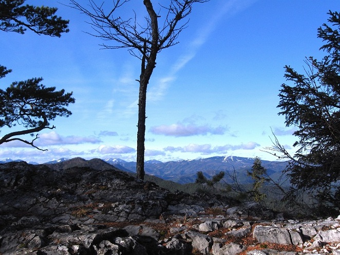 Foto: Andreas Koller / Wandertour / Gauermannhütte am Plattenstein (1154m) / 03.02.2012 19:47:57