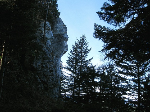 Foto: Andreas Koller / Wandertour / Gauermannhütte am Plattenstein (1154m) / 03.02.2012 19:46:41
