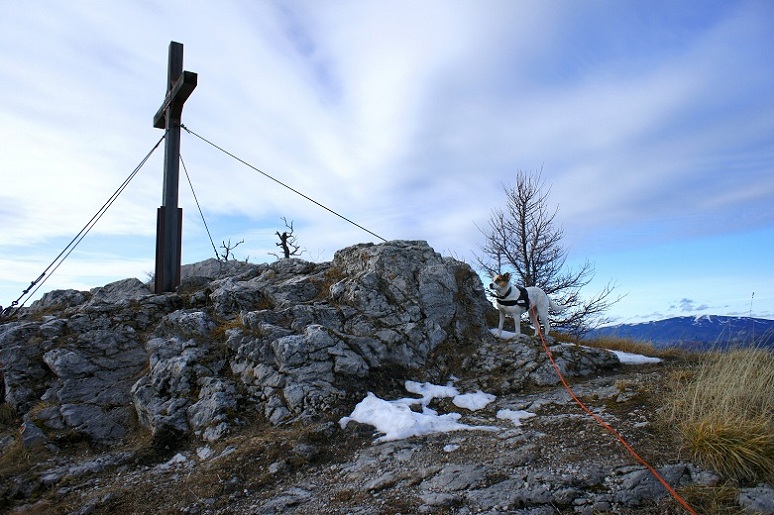 Foto: Andreas Koller / Wandertour / Gauermannhütte am Plattenstein (1154m) / Am Gipfel des Plattenstein / 03.02.2012 19:44:11