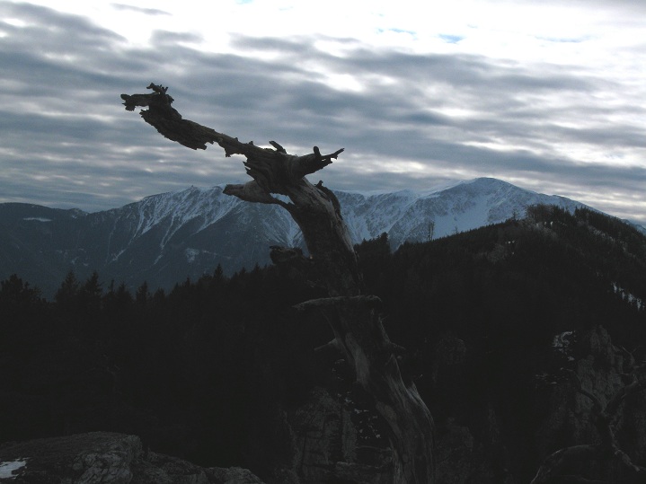 Foto: Andreas Koller / Wandertour / Gauermannhütte am Plattenstein (1154m) / 03.02.2012 19:43:14