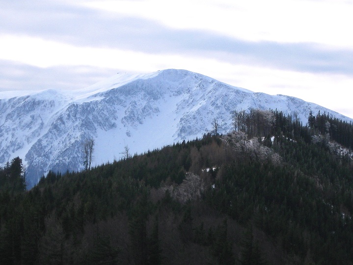 Foto: Andreas Koller / Wandertour / Gauermannhütte am Plattenstein (1154m) / Blick zum Schneeberg (2076m) / 03.02.2012 19:42:16