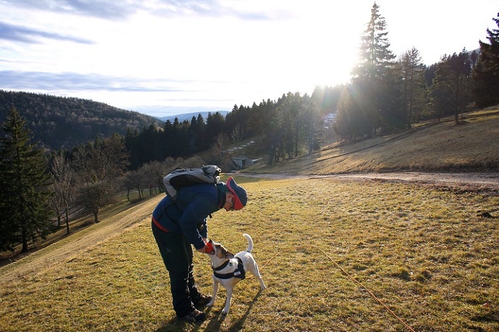 Foto: Andreas Koller / Wandertour / Gauermannhütte am Plattenstein (1154m) / 03.02.2012 19:35:53