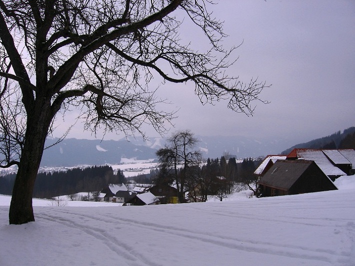 Foto: Andreas Koller / Skitour / Via Maria Schnee auf die Lamprechthöhe (2114m) / Ausganspunkt Sonnwenddorf - Seckau / 11.02.2012 23:20:31