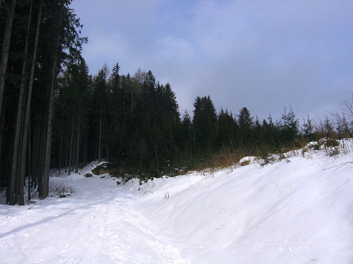 Foto: Andreas Koller / Skitour / Via Maria Schnee auf die Lamprechthöhe (2114m) / 11.02.2012 23:19:07