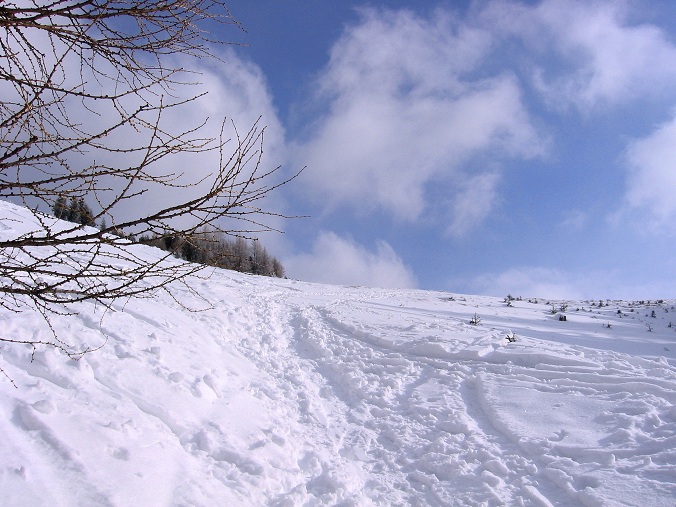 Foto: Andreas Koller / Skitour / Via Maria Schnee auf die Lamprechthöhe (2114m) / 11.02.2012 23:17:54
