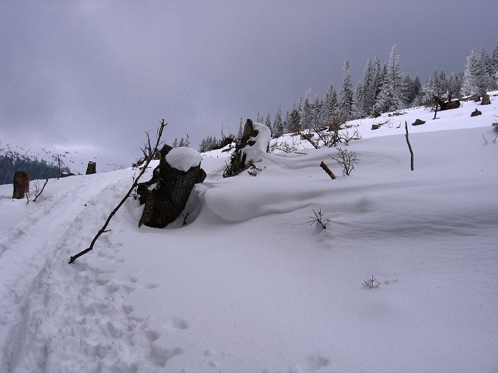 Foto: Andreas Koller / Skitour / Via Maria Schnee auf die Lamprechthöhe (2114m) / 11.02.2012 23:16:33