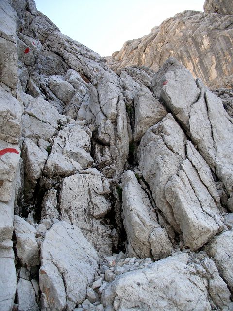 Foto: Datzi / Wandertour / Überschreitung Hochzinth und Birnhorn (Biwak) / Beim Abstieg zur Riedlalm hat man diese Kletterstelle abzusteigen / 23.02.2012 07:08:57