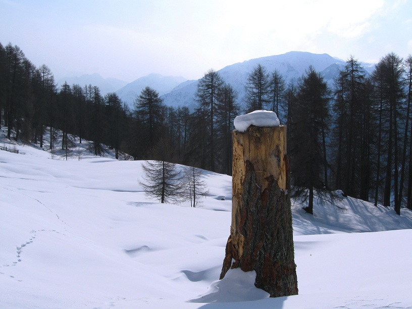 Foto: Andreas Koller / Skitour / Piz Terza (2909m) / 27.02.2012 21:45:45