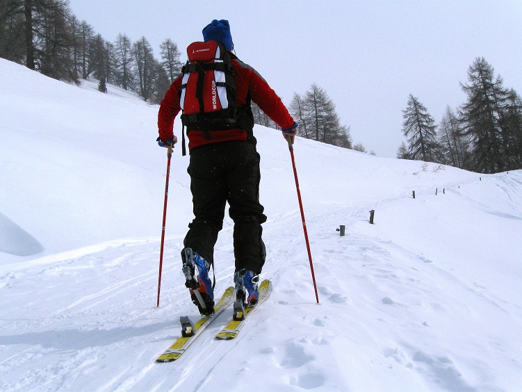 Foto: Andreas Koller / Skitour / Piz Terza (2909m) / 27.02.2012 21:45:27