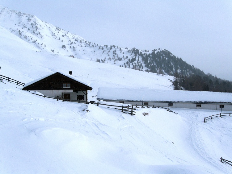 Foto: Andreas Koller / Skitour / Piz Terza (2909m) / Alp Tobladatsch / 27.02.2012 21:45:12