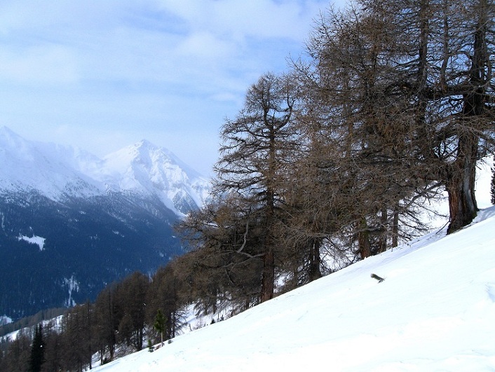 Foto: Andreas Koller / Skitour / Piz Terza (2909m) / 27.02.2012 21:44:01