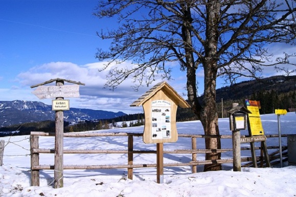 Foto: Andreas Koller / Schneeschuhtour / Panoramaschneeschuhtour auf die Amundsenhöhe (1666m) / 13.03.2012 19:46:10