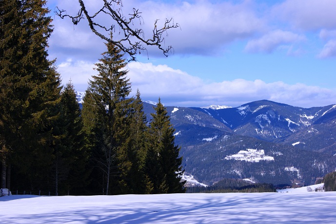 Foto: Andreas Koller / Schneeschuhtour / Panoramaschneeschuhtour auf die Amundsenhöhe (1666m) / Aufstieg zur Ganzalm und zur Amundsenhöhe / 13.03.2012 19:46:33