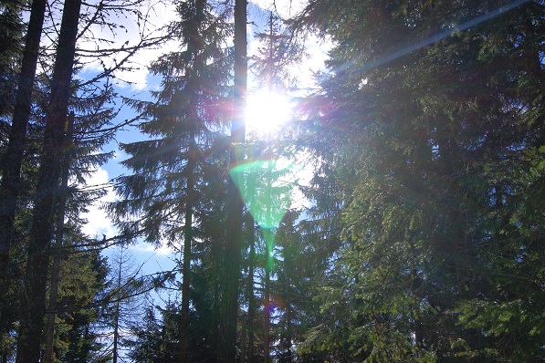 Foto: Andreas Koller / Schneeschuhtour / Panoramaschneeschuhtour auf die Amundsenhöhe (1666m) / 13.03.2012 19:45:46