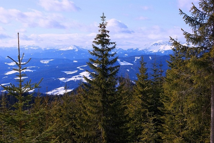 Foto: Andreas Koller / Schneeschuhtour / Panoramaschneeschuhtour auf die Amundsenhöhe (1666m) / 13.03.2012 19:45:36