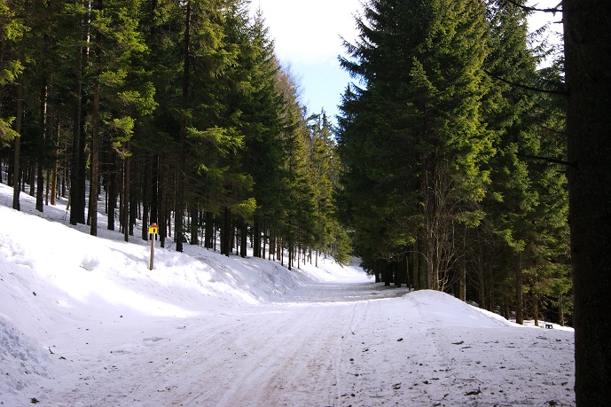 Foto: Andreas Koller / Schneeschuhtour / Panoramaschneeschuhtour auf die Amundsenhöhe (1666m) / 13.03.2012 19:45:31