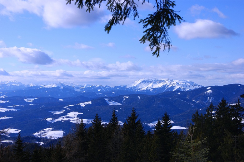 Foto: Andreas Koller / Schneeschuhtour / Panoramaschneeschuhtour auf die Amundsenhöhe (1666m) / 13.03.2012 19:45:22