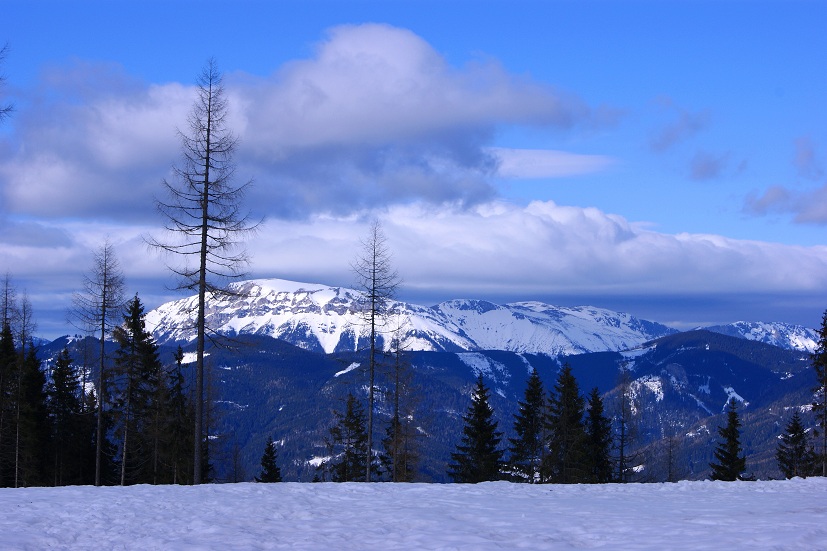 Foto: Andreas Koller / Schneeschuhtour / Panoramaschneeschuhtour auf die Amundsenhöhe (1666m) / 13.03.2012 19:45:10