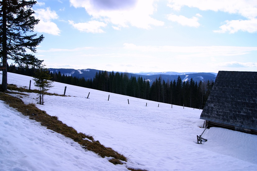 Foto: Andreas Koller / Schneeschuhtour / Panoramaschneeschuhtour auf die Amundsenhöhe (1666m) / 13.03.2012 19:44:18